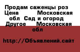 Продам саженцы роз › Цена ­ 300 - Московская обл. Сад и огород » Другое   . Московская обл.